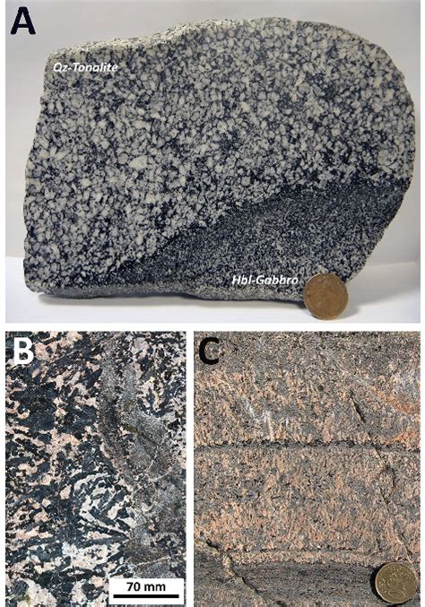 White Mafic Rocks and the Earth's Mantle: Insights from Geochemistry